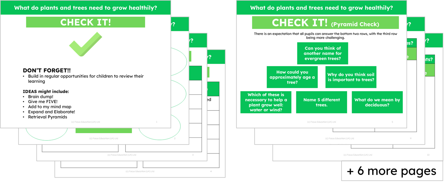 Science Y2: What do plants and trees need to grow healthily?