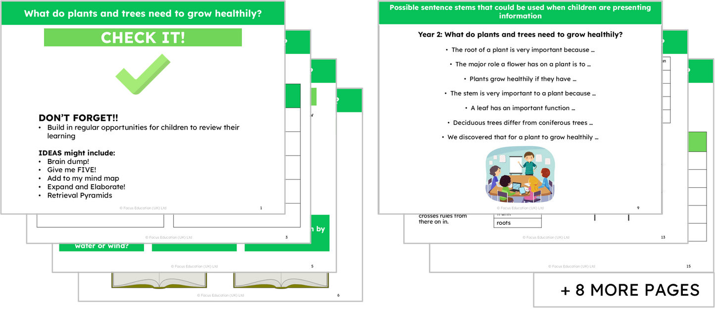 Science Y2: What do plants and trees need to grow healthily?
