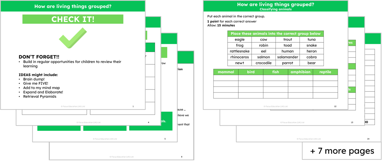 Science Y4: How are living things grouped?