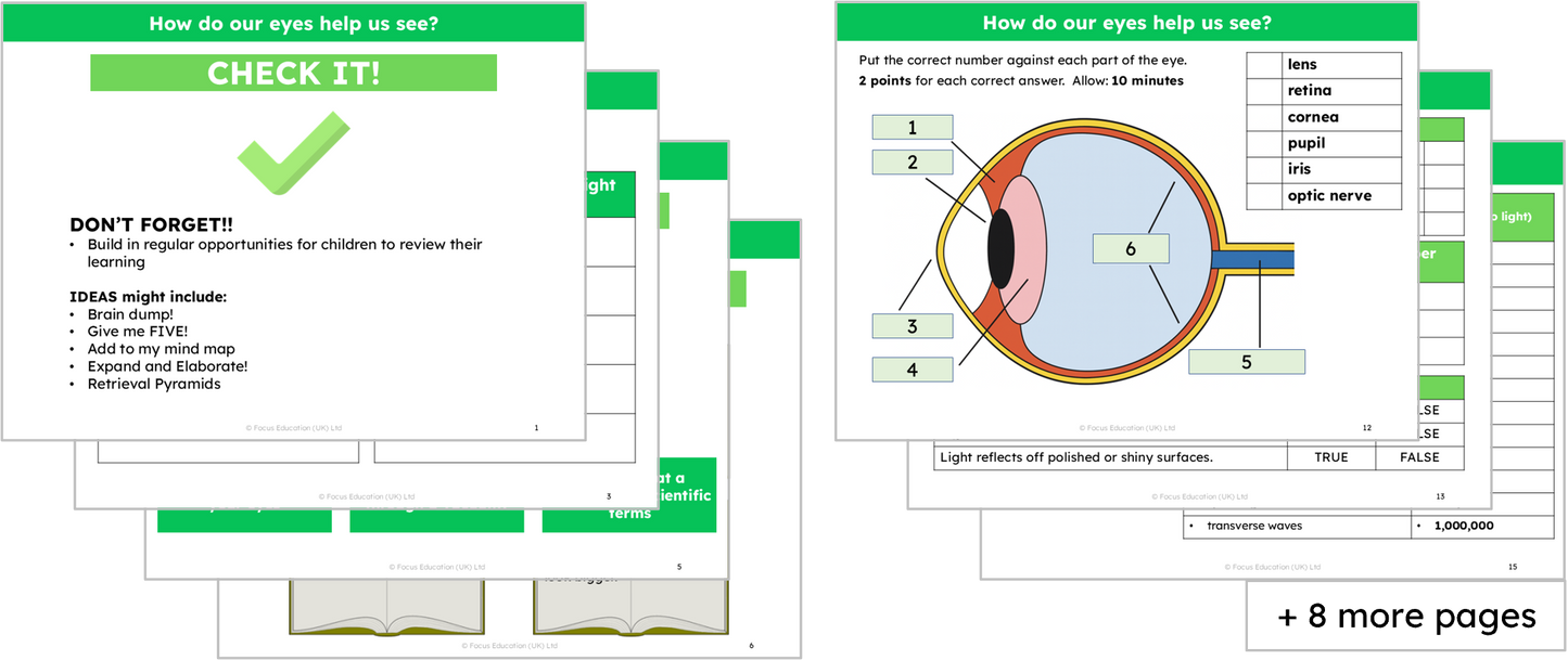 Science Y6: How do our eyes help us see?
