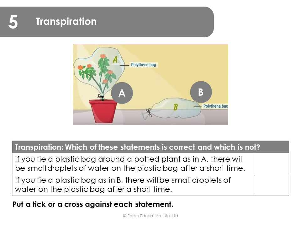 Assessing Science Knowledge: Summative Assessments for Years 1 to 6