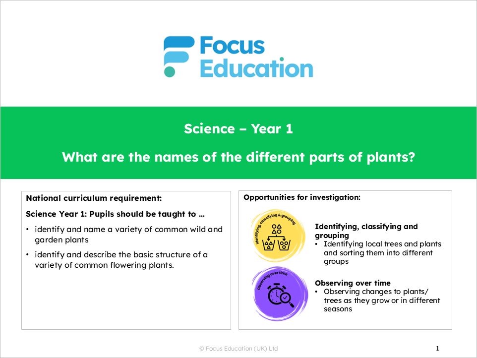 Science Y1: What are the names of the different parts of plants?