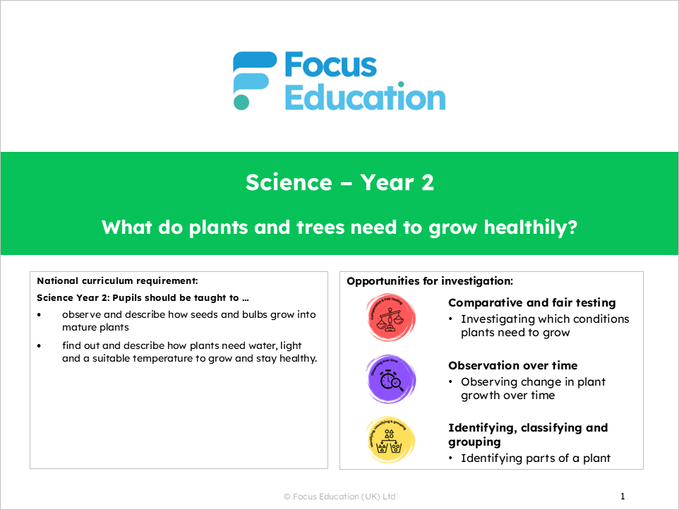 Science Y2: What do plants and trees need to grow healthily?