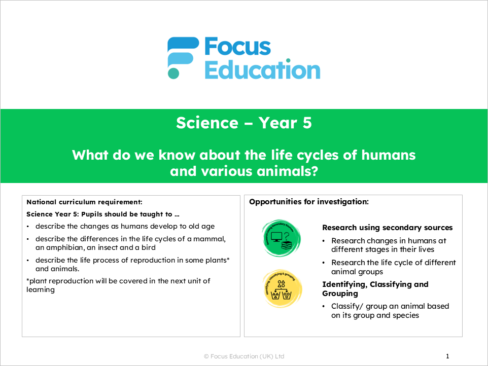 Science Y5: What do we know about the life cycles of humans and various animals?