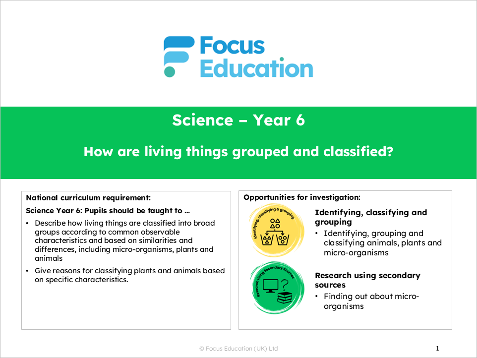 Science Y6: How are living things grouped and classified?