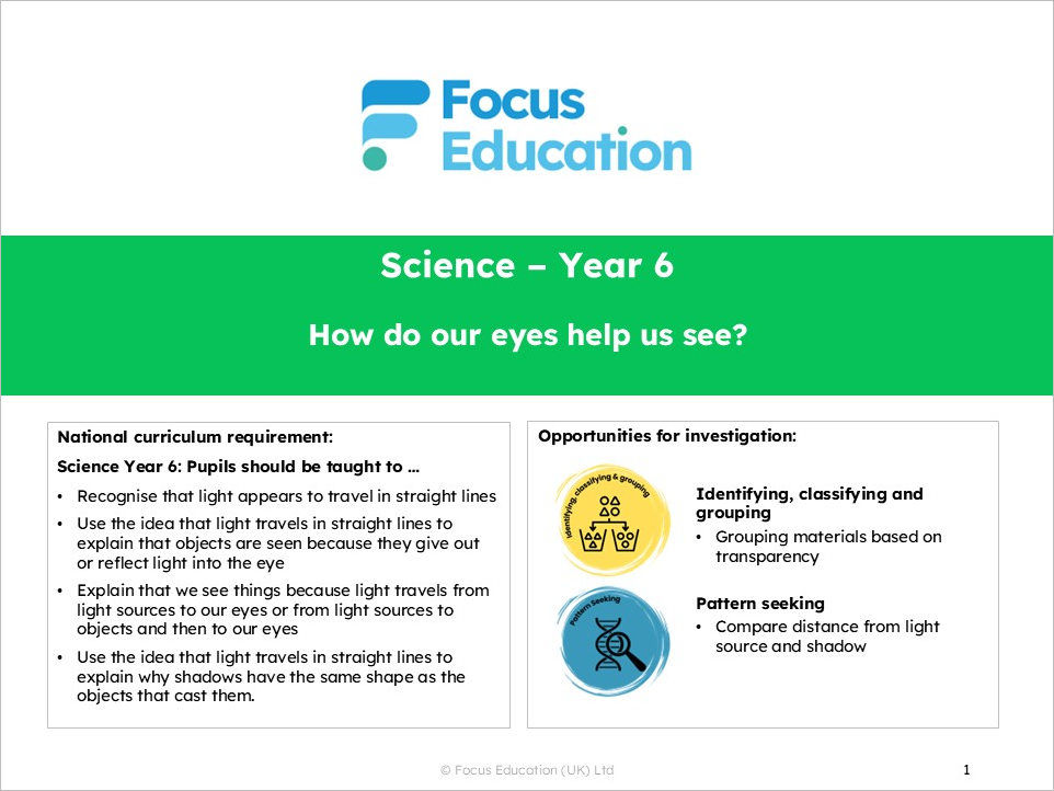 Science Y6: How do our eyes help us see?