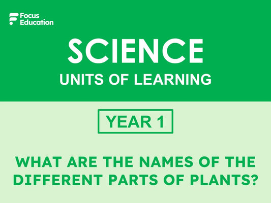 Science Y1: What are the names of the different parts of plants?