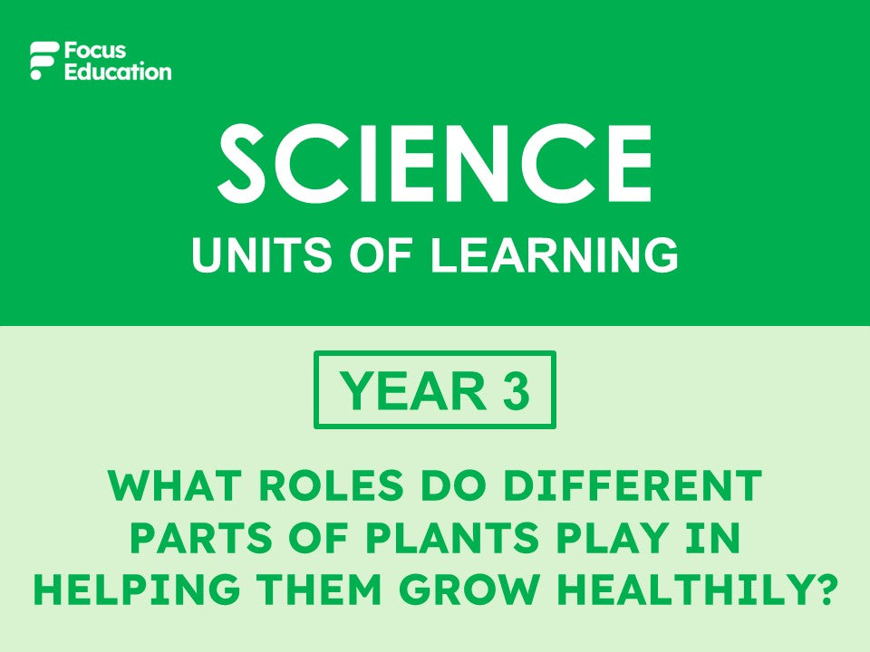 Science Y3: What roles do different parts of plants play in helping them grow healthily?