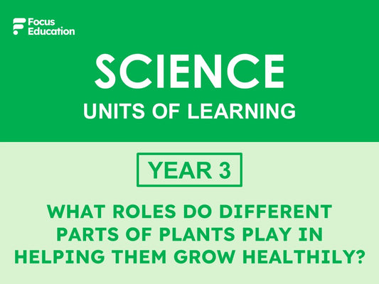 Science Y3: What roles do different parts of plants play in helping them grow healthily?