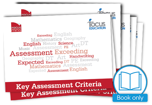 Key Assessment Criteria (Focus Mini)