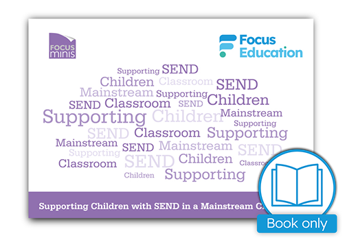 Supporting Children in SEND in a Mainstream Classroom